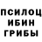 Галлюциногенные грибы прущие грибы Veleon