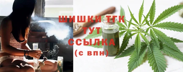 прущие грибы Аркадак