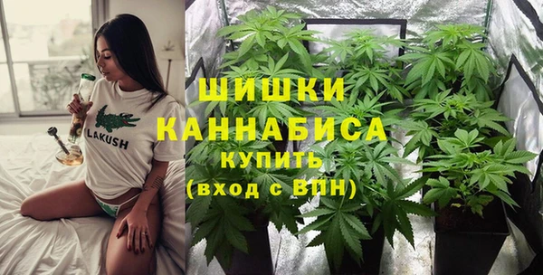 прущие грибы Аркадак