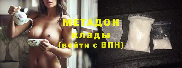 прущие грибы Аркадак
