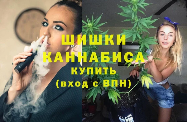 винт Арсеньев