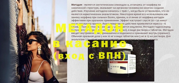 прущие грибы Аркадак
