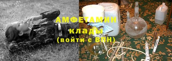 прущие грибы Аркадак