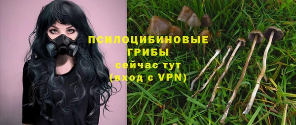винт Арсеньев