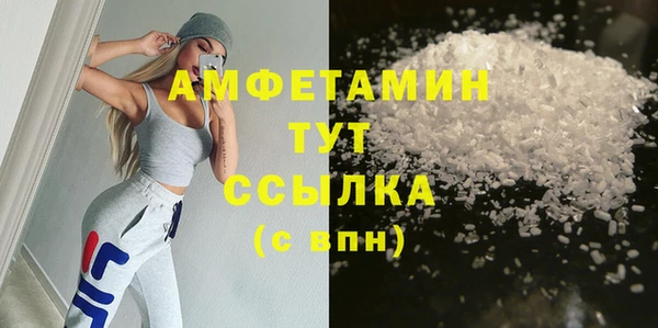 прущие грибы Аркадак