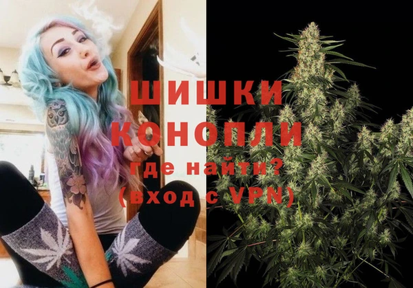 прущие грибы Аркадак