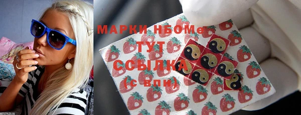 прущие грибы Аркадак