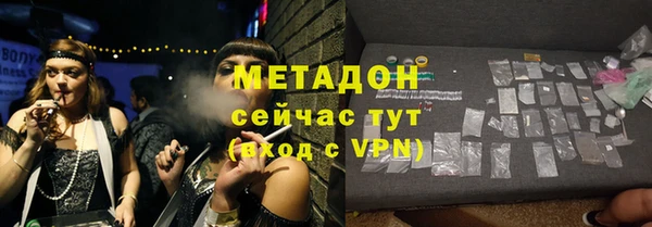 прущие грибы Аркадак