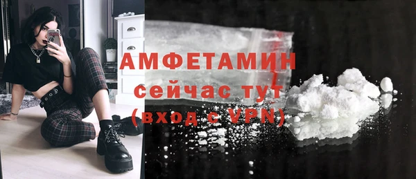 прущие грибы Аркадак