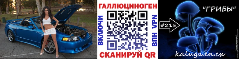 Псилоцибиновые грибы Psilocybe  Чайковский 